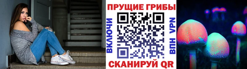 даркнет сайт  Нижние Серги  MEGA как войти  Галлюциногенные грибы ЛСД 
